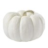UtopiaSeeds Casperita Mini White Pumpkin Seeds