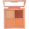 PALETA FACIAL SPOT ON MOIRA COSMETICS RFP004