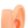 Silicone Ear Model Human Artificial Ear Display for Hearing Aids