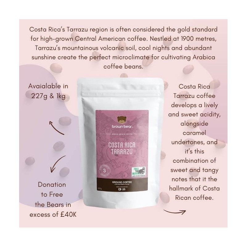 Costa Rican Medium Roast Coffee Beans 227g – Brown Bear