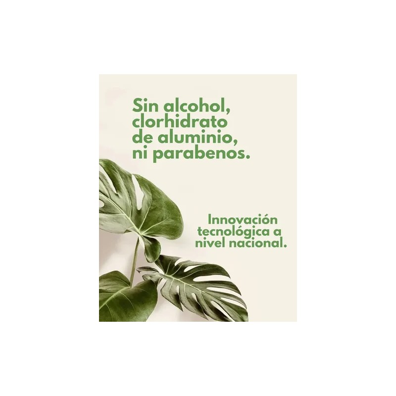 Desodorante Piedra De Alumbre Zahal Natural Stick 120 G