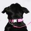 Fleuff Waterproof Dog Leash (Doll Pink)