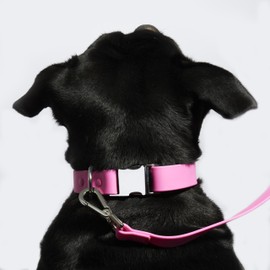 Fleuff Waterproof Dog Leash (Doll Pink)