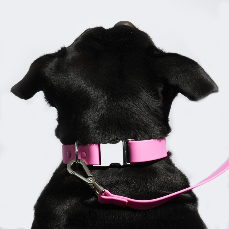 Fleuff Waterproof Dog Leash (Doll Pink)