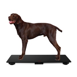 Helsevesen Medium-Large Breed Veterinary Scale, Dog Scale (±10g) Accuracy, Red LED, 32 x 20 inch Tempered Glass Platform with Anti Slip Sticker，Digital Pet Scales PS-220L