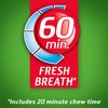 Dentyne Ice Spearmint Sugar-Free Chewing Gum, 9 Packs of 16