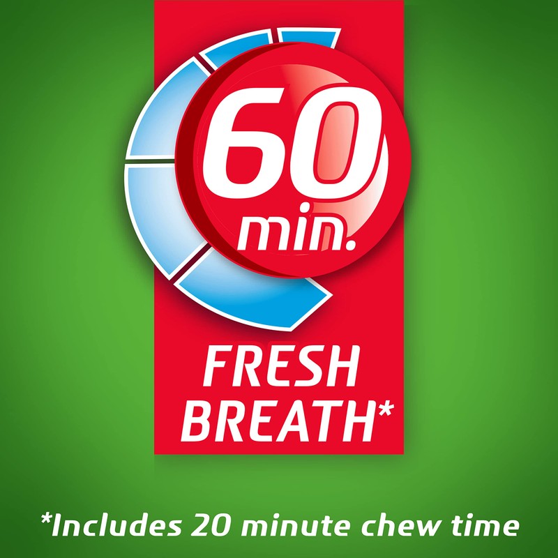 Dentyne Ice Spearmint Sugar-Free Chewing Gum, 9 Packs of 16
