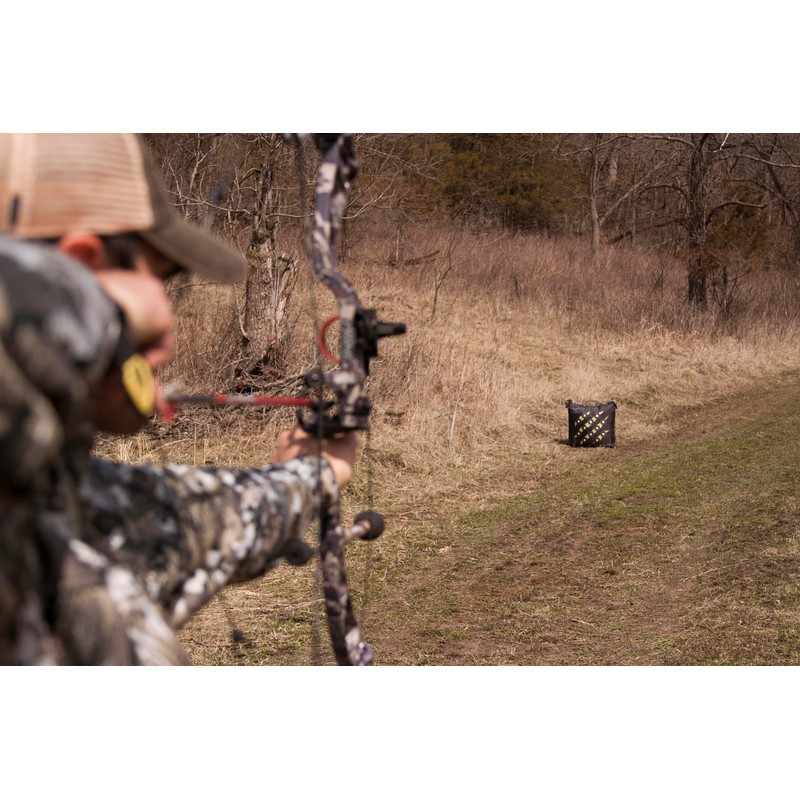 Rinehart Targets 57211 Raptor 22 Bag Target