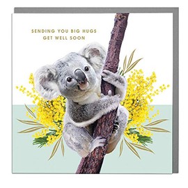 Sending Big Hugs - Koala - Get Well Soon Card with Grey Envelope by Lola Design