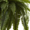 Nearly Natural 6788 Double Giant Boston Fern Hanging Basket,Green