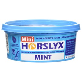 Mini Horslyx Licking Mass, Horse Supplement, Mint 650 g