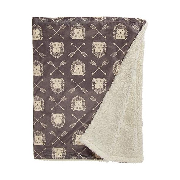 Hudson Baby Unisex Baby Plush Blanket with Sherpa Back, Hedgehog,
