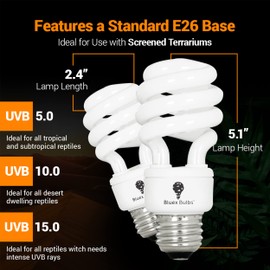 Bluex Bulbs 2 Pack 13-Watt Reptile Light - Intense UVA/UVB, 15.0 UVB, Compact Florescent, Suitable for Desert Reptiles & Amphibians, Promotes Natural Behavior, CFL Bulb (UVB 15.0)