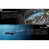 JACKALL Cyan Popper Roar 9.4 inches (240 mm) Scale Sardine