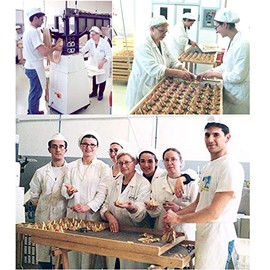 Donne Del Grano Organic Gourmet Italian Vegetable Colored Rainbow Bow Tie Pasta Noodles, 8.8 Oz (250 grams), Pack of 2 bags