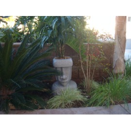 The Tiki Shop Lg. Easter Island (Rapa NUI Moai) Planter (Sandstone)