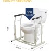Drive Medical MDS Stand Alone Toilet Safety Rail, White, EA