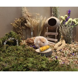 JFWOD Natural Hamster Bedding Flowers Herbs Sprays Treat for Cage Habitat Enclosure Decor for Dwarf Syrian Gerbils Mice Mouse Rat Pet Accessories Supplies