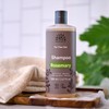 Urtekram Rosmarin Shampoo Bio, feines Haar, 500 ml
