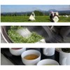 Miyazaki Sabo (grown without pesticides), roasted tea (virtue) green tea