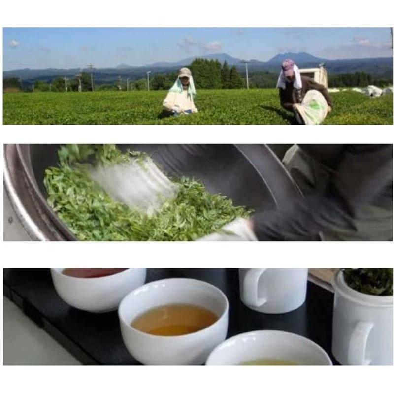 Miyazaki Sabo (grown without pesticides), roasted tea (virtue) green tea