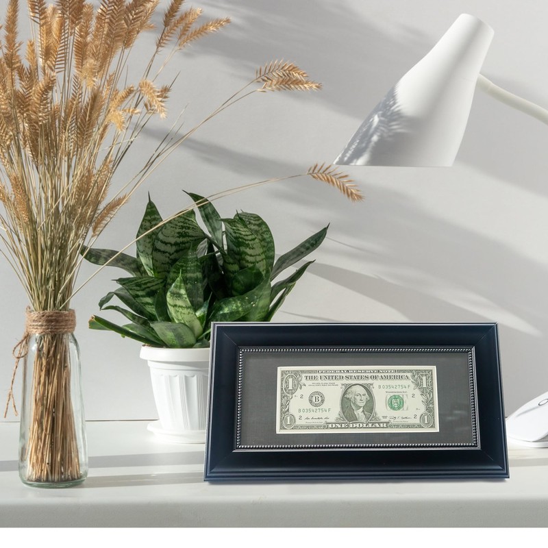 GMFrames Black Dollar Bill Frame with Black Mat or Display