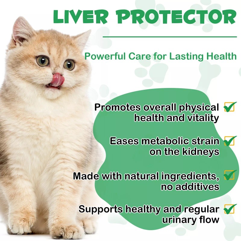 Oimmal Kidney Support for Cats Liquid Supplement Supports Healthy Kidney