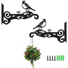Tutamaz 2PCS Wandbehang Korbhalterungen,blumenampel halterung, Pflanzenhaken Blumenhaken,Eisen Pflanzen Kleiderbügel Wandhaken, Geeignet Für Gartendekoration, Blumentöpfe, Lichterkette