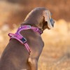 Dog Harness No Pull Adjustable Reflective Step-in Soft Nylon For