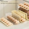 Egg Holder Refrigerator, Egg Slide for Fridge, Automatic Rolling Egg