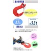 cshklr33r2t Slip Hook, Sling Hook with Latch, Clevis Type, Pin