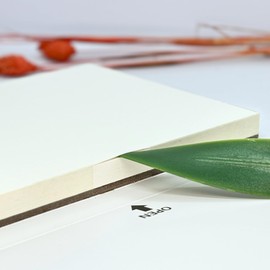 Leyton Small Pad of Watercolor Paper 100% Cotton, 350 g/m² (160lb), Fine Grain, Cold Pressed, 18cmx12.5cm, 20 Sheets, Professional Quality.