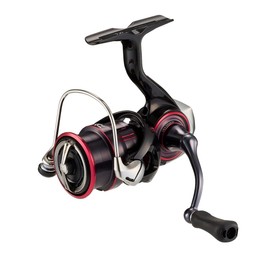 Daiwa LT2000S Spinning Reel 23 Monthly Beauty
