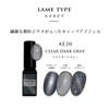 Color Gel Japan Artist Series Cats Eye Gel (AE23 Peach
