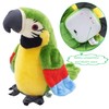 XiuLiFeiFei hengleTalking Parrot,Repeating Parrots, Repeating Talking Parrots, Talking Parrots, Electric