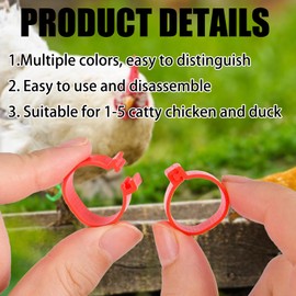 GIEEU Pack of 50 chicken rings, 16 mm chicken identification legs rings, numbered identification bands for poultry farmers and backyard holders (chickens, ducks, pigeons, geese)