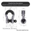 AUTOBOTS Shackles 3/4" (2 Pack), D Ring Shackle 45,000Ib Max