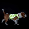 Hunter Reflective Dog Vest, l