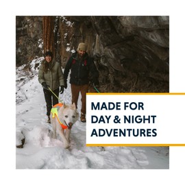 RUFFWEAR Lumenglow High-Vis Jacket, High Visibility Reflective Coat for Dogs, X-Large, Blaze Orange