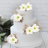 IPOPU 6PCS Cosmos Flowers Artificial Silk Cosmos Flowers 24”White Cosmos