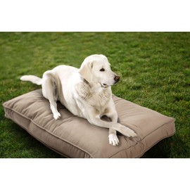 Sunbrella Double Sided Dog Bed for Indoor/Outdoor,Washable Cover & Chew Proof, Pets Mat for Multipurpose, Easy Care & Pet Safe Products (Small, Polyester, Sand, 26”x18”x 3")