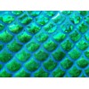LushFabric Mermaid Scale Print Fabric Fish Tale Scales Foil -