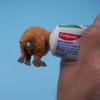 Funny Golden Retriever Puppy Poop Toothpaste Dispenser, Dog Toothpaste Topper,
