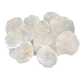Capiz Mother of Pearl Discs Natural White 7-11 cm Table Cards Name Cards Shell Discs Round Mother of Pearl Plates Maritime Decorative Anchor Baltic Sea North Sea Shells Pack of 25