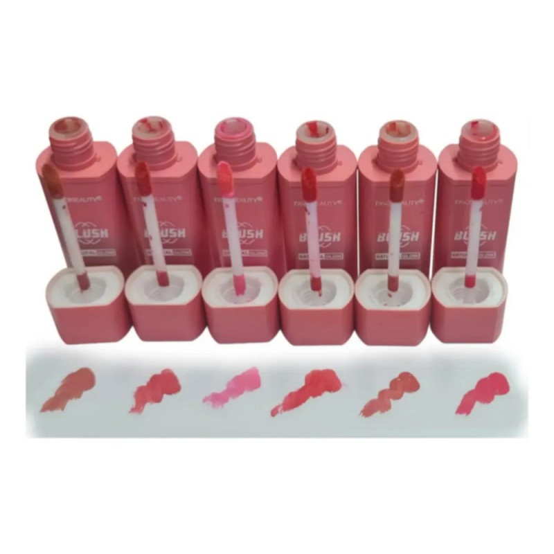 Blush Y Labial Waterproof 6 Tonos Rosas Varios