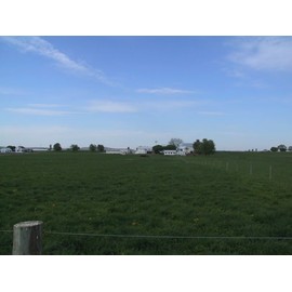 2 BOTTLES FORMALLY STOPS LEG AND FOOT CRAMPS PAIN NATURALLY FACTORY SEALED AMISH 899378002002