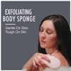 HartFelt Bath Sponges for Shower | Oval Body Wash Scrubber