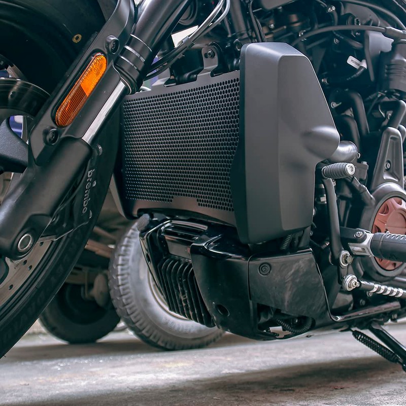 Dreamseek Motorcycle Front Radiator Grille Guard for Harley Sportster S