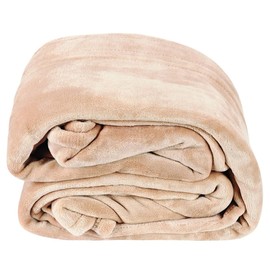 Westerly Full Size Microplush Electric Heated Blanket, Tan