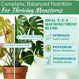 Monstera Plant Food - Premium Nutrient Rich Liquid Fertilizer (5-2-3 NPK) for Monstera Deliciosa & Other Tropical Plants | Supports Strong Roots & Large, Lush Leaves | Safe, Gentle, Easy-to-Use | 8 oz